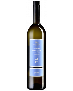 Avec Vue, Chasselas