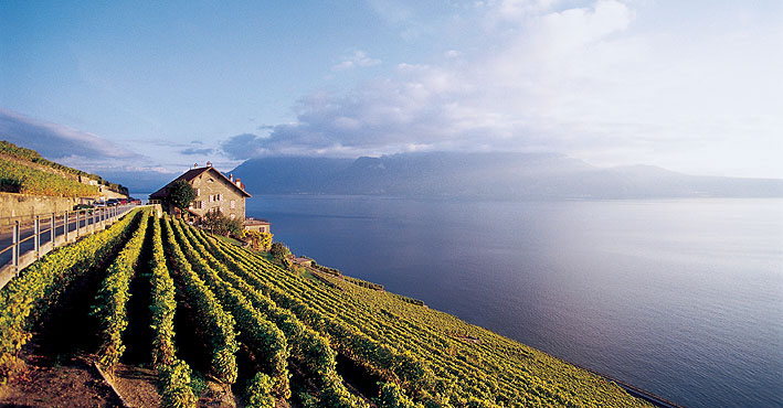 Dégustation de vin en Lavaux – Lausanne Tourisme – Site officiel